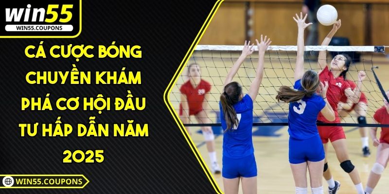 Cá cược bóng chuyền