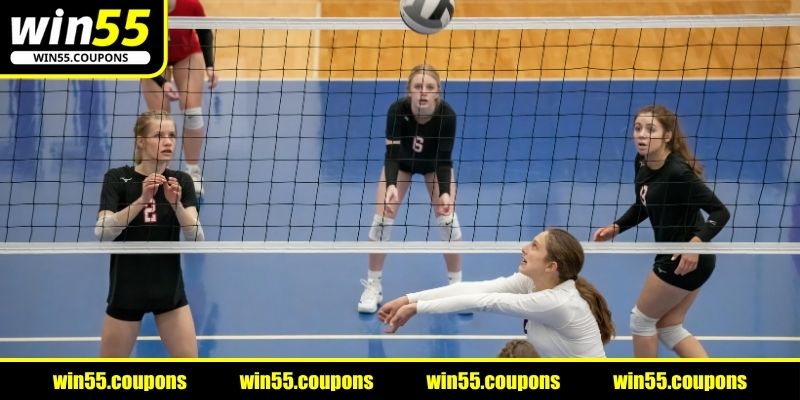 Cá cược bóng chuyền và sức hút khó cưỡng
