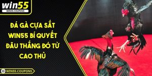 Đá gà cựa sắt