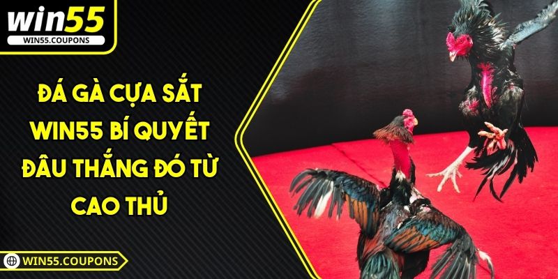 Đá gà cựa sắt