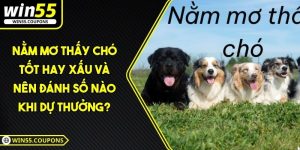 nằm mơ thấy chó