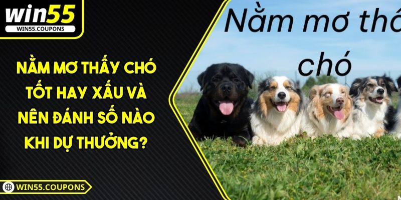 nằm mơ thấy chó