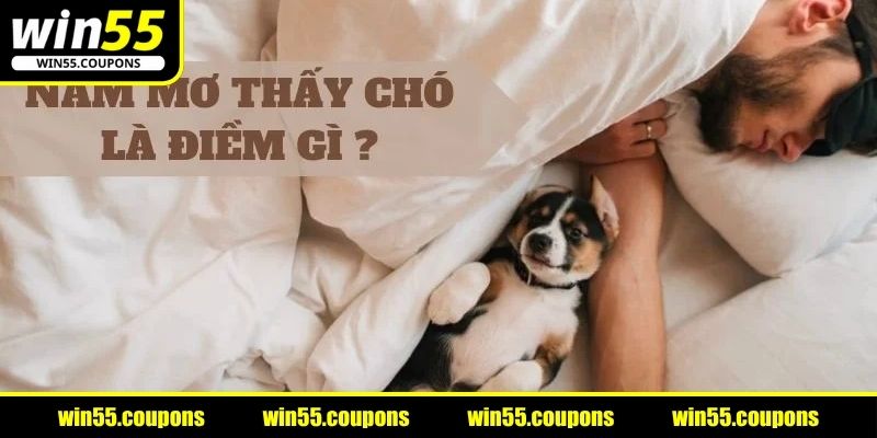 Nằm mơ thấy chó vẫy đuôi