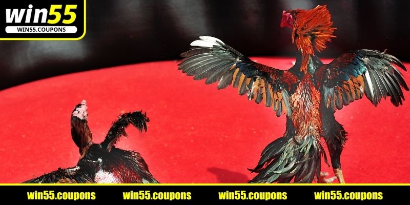 Thời gian của một trận đấu