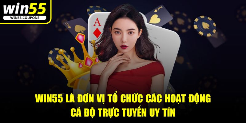 Win55 là đơn vị tổ chức các hoạt động cá độ trực tuyến uy tín