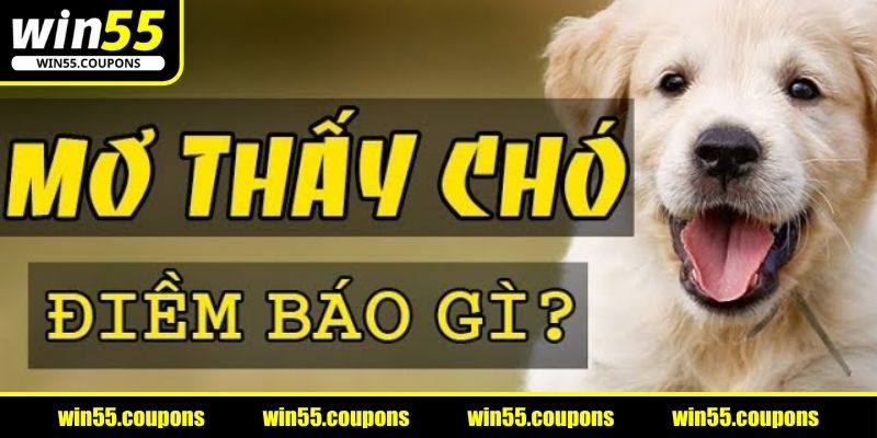 Ý nghĩa khi Nằm mơ thấy chó là điềm lành hay dữ?